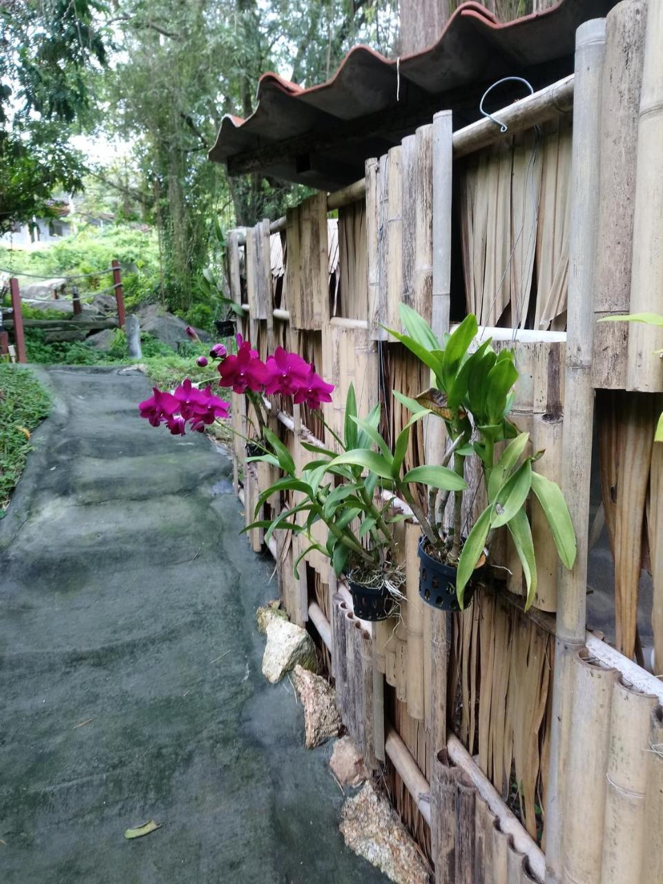 Koh Phangan Pavilions Serviced Apartments Thong Nai Pan Noi Zewnętrze zdjęcie